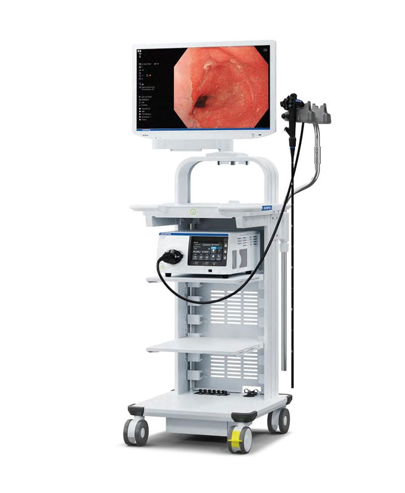 高解析度胃腸鏡與超音波檢查